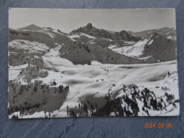 SIMMENTAL  BLICK VOM NIEDERHORN - Beatenberg