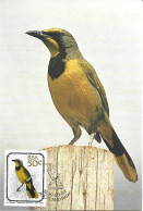 Maxim Card, Bushshrike, RSA, 1990 - Covers & Documents