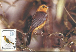 Maxim Card, Red-Capped Robin-chat Or Natal Chat, RSA, 1990 - Storia Postale