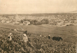 AY VUE GENERALE PREMIER CRU DE RAISINS NOIRS - Ay En Champagne