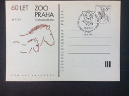 CDV 235 1991 Oblitéré Léopard  60 Ans Du Zoo De Prague Cheval Sauvage Et Poulain - Cartes Postales