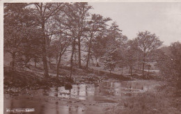 2811	135	Near Rydal Lake (see Corners) - Sonstige & Ohne Zuordnung