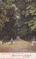 2850	7	Arnhem Velp, Rosendaalsche Laan (poststempel 1905) (zie Achterkant) - Arnhem