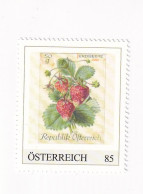 ÖSTERREICH -Heimische OBSTSORTEN Schätze Aus Dem Postarchiv - ERDBEERE - Personalisierte Briefmarke ** Postfrisch - Persoonlijke Postzegels