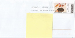 Montimbreligne Sur Enveloppe : Hérisson - Druckbare Briefmarken (Montimbrenligne)