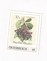 ÖSTERREICH -Heimische OBSTSORTEN Schätze Aus Dem Postarchiv - HOLLUNDER - Personalisierte Briefmarke ** Postfrisch - Timbres Personnalisés