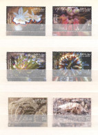 Qatar 2017-Marine Life Set (6v) - Qatar