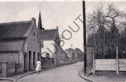 Postkaart - Carte Postale - Okegem - Fonteinstraat (C5715) - Ninove