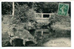 CPA Voyagé * Environs De BLAIN Un Joli Coin De La Forêt Du Gâvre ( Vache En Gros Plan ) Artaud Nozais - Blain