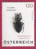 Österreich 2024: Gefährdete Insekten - Schwarze Grubenlaufkäfer, Postfrisch - Coleotteri