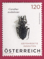 Österreich 2024: Gefährdete Insekten - Schwarze Grubenlaufkäfer, Postfrisch - Käfer