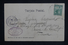 ARGENTINE - Carte Postale Pour La France En 1905 - L 150307 - Storia Postale