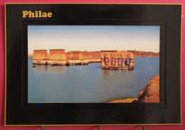 Egypte - Philae - Temples D'Abou Simbel