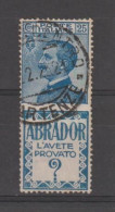 REGNO:  1924/25  ABRADOR  -  25 C. AZZURRO  E  AZZURRO  CHIARO  US. -  SASS. 4 - Pubblicitari