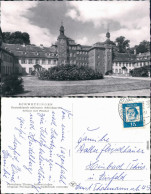 Ansichtskarte Schwetzingen Schloss, Schlossgarten Mit Flieder 1964 - Schwetzingen
