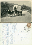 Postcard .Dänemark - Prærievognen Rebild, Ochsenkarren Landwirt 1953 - Danemark