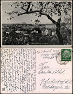 Ansichtskarte Werder (Havel) Panorama-Ansicht Zur Zeit Der Baumblüte 1941 - Werder