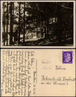 Ansichtskarte Deggendorf Liegepark Sanatorium Am Hausstein 19342 - Deggendorf