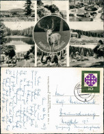 Ansichtskarte Braunlage Mehrbildkarte Ortsansichten Ort Im Oberharz 1959 - Braunlage
