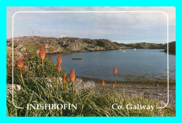 A768 / 417 IRLANDE Inishbofin Co. Galway - Galway
