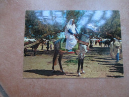 1966 Affrancatura N.2 Valori Commemorativi Su Cartolina CAVALIERE ARABO Edizione Photo AULA Tripoli - Libia
