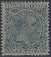 España Spain Variedad 221ib 1889/1899 Papel Azulado Afonso XIII 100€ - Otros & Sin Clasificación