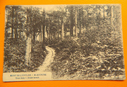 MONT-de-l'ENCLUS  -  KLUISBERG  - Sous-bois -  Onder Bos - Kluisbergen