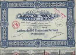 COMPAGNIE MINIERE DE LA RIBEIRA - LOT DE 5 ACTIONS DE 100 FRS - ANNEE 1929 - Mines