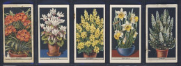 FLOWER CULTURE IN POTS, 5x - 2.75x1.75 Inch (#18-19-20-21-22) Imperial Tobacco Co. Canada - Zigarettenmarken