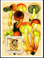 Guinea  2002 Fungal Mushrooms，MS MNH - Guinea (1958-...)