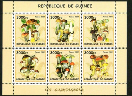 Guinea  2002 Fungal Mushrooms，MS MNH - Guinea (1958-...)