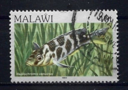 Malawi 1984 Fish  Y.T. 422 (0) - Malawi (1964-...)