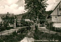 73033602 Grossschoenau Sachsen Lausur Grossschoenau Sachsen - Grossschoenau (Sachsen)