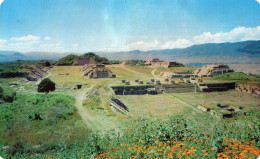 CPM - P - MEXIQUE - OAXACA - ZONA ARQUEOLOGICA DE YAGUL - México