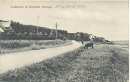 Indkövslen Til Hornbaek Plantage - Danemark