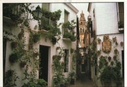 9002004 - Cordoba - Spanien - Calle De Las Flores - Córdoba