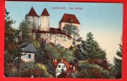 ZXR-08  Berthoud Burgdorf  Das Schloss. Ideal 6525  NC - Berthoud