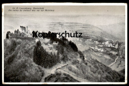 ALTE POSTKARTE LUXEMBOURG BOURSCHEID LES RUINES DU CHATEAU AVEC VUE SUR MICHELAU LUXEMBURG Cpa Postcard Ansichtskarte - Bourscheid