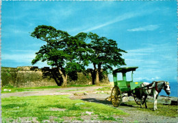 8-3-2024 (2 Y 26) Phillippines - Fort Del Pilar - Philippines