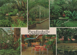 106122 - Walsrode - Paradieshalle Im Vogelpark - 1971 - Walsrode