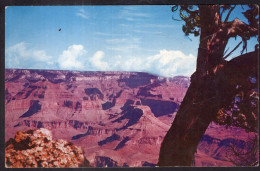 United States - Arizona - Grand Canyon National Park - Gran Cañon