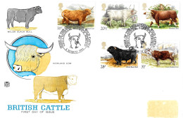 1984 Cattle Addressed FDC Tt - 1981-1990 Decimale Uitgaven