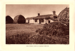 S10-023 Une Ferme Dans Le Marais Breton - Lugares