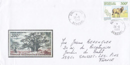 SENEGAL-1998-Lettre Illustrée ZINGUINCHOR Pour SAUSSET LES PINS-13 (France) Timbre Parc Niokolo-Badiar Seul Sur Lettre. - Sénégal (1960-...)