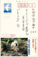 75838 - Japan - 1995 - ¥50 Reklame-GAKte "Sankyo Construction" ITAMI -> Osaka - Chiens