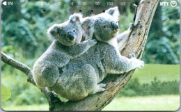 8-3-2024 (Phonecard) Japan - Koala  Phonecard - Carte De Téléphone (1 Card) - Altri - Asia