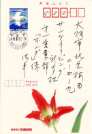 75849 - Japan - 1994 - ¥50 Reklame-GAKte "Studienversicherung" MATSUYAMA -> Osaka - Andere & Zonder Classificatie