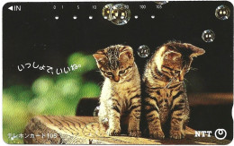 Phonecard - Japan, Kittens 1, N°1157 - Verzamelingen