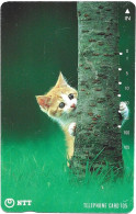 Phonecard - Japan, Kittens 2, N°1158 - Colecciones