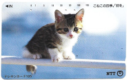 Phonecard - Japan, Kittens 8, N°1164 - Lots - Collections